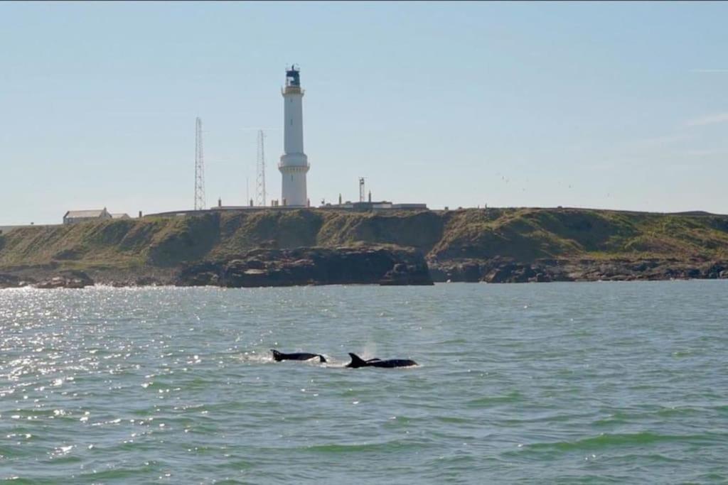 Lighthouse Cottage With Hottub Абърдийн Екстериор снимка